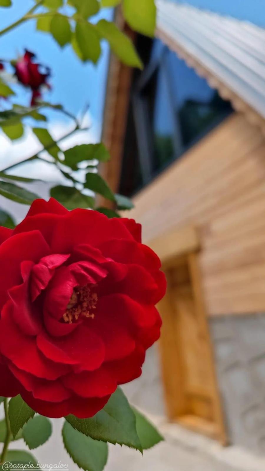 Sataplebungalov Çamlıhemşin Esterno foto